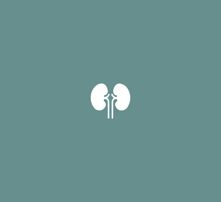 Kidney
